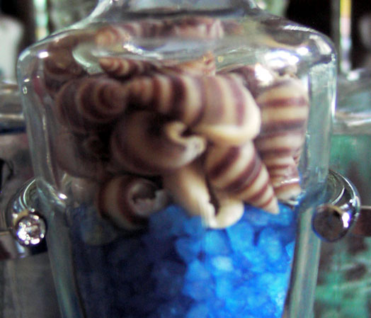 seashell bath stuff