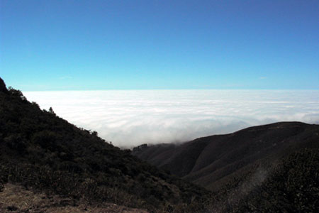 Foggy San Francisco&nbsp;Bay