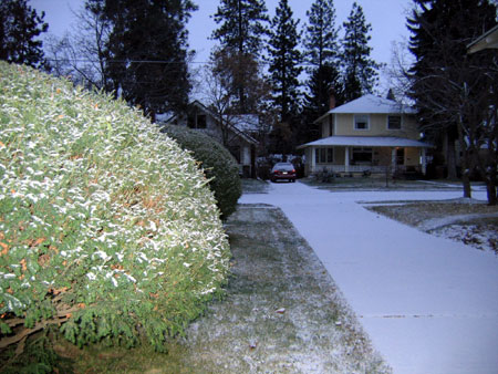 now it’s getting serious