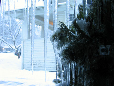 Icicles!