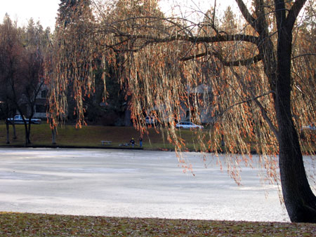 Cannon Hill Pond in January