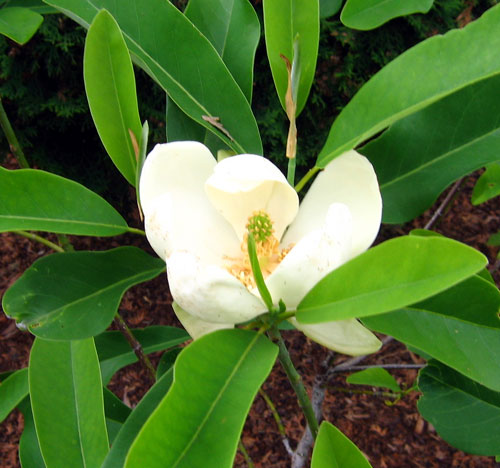 And it smells good&nbsp;too