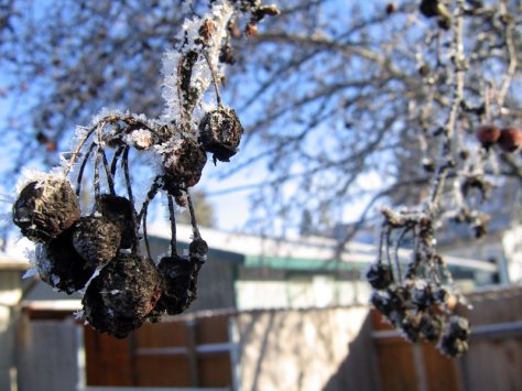 358937611_c80342077f_o