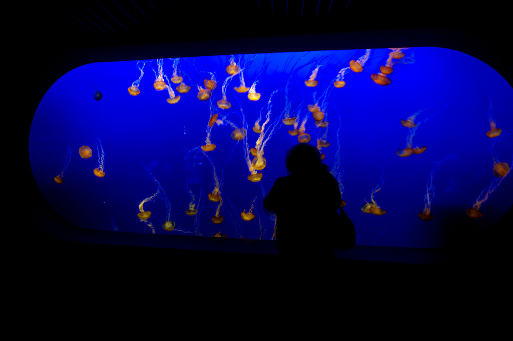 Photography Friday: Judy takes&nbsp;pictures