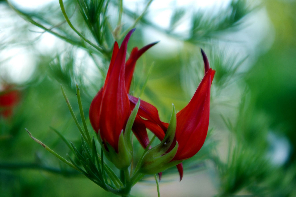 Happy 4th of&nbsp;July!