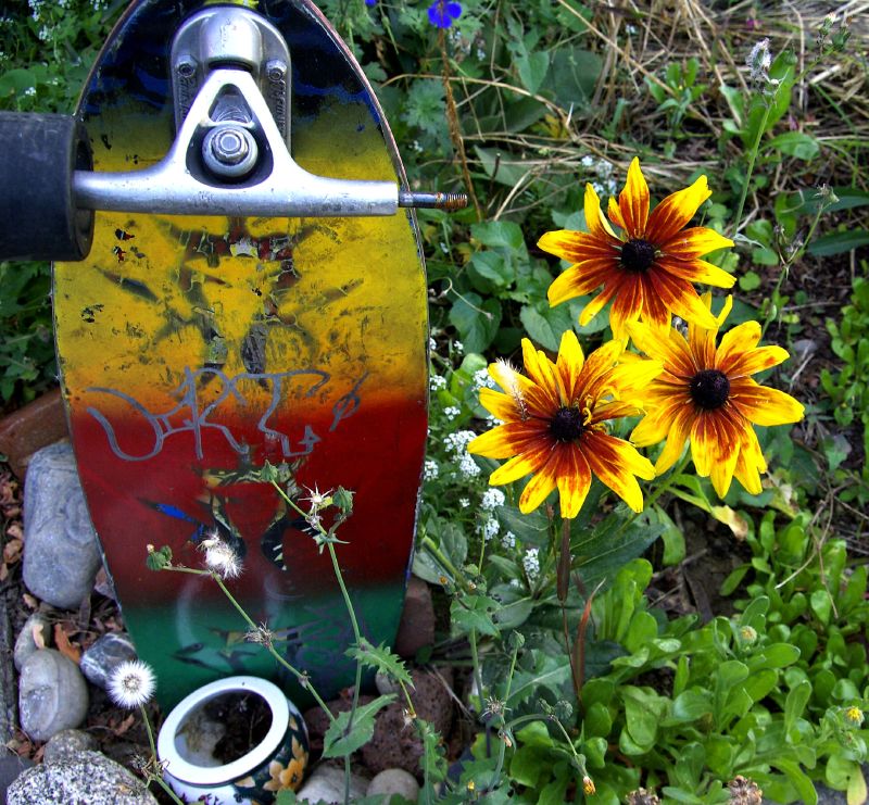 Skateboard Grave
