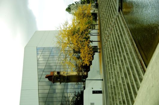 Reflection of the clock&nbsp;tower