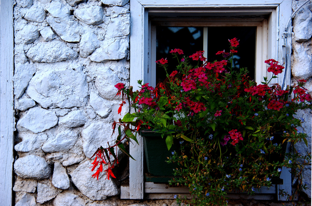 Hasse’s Greenhouse