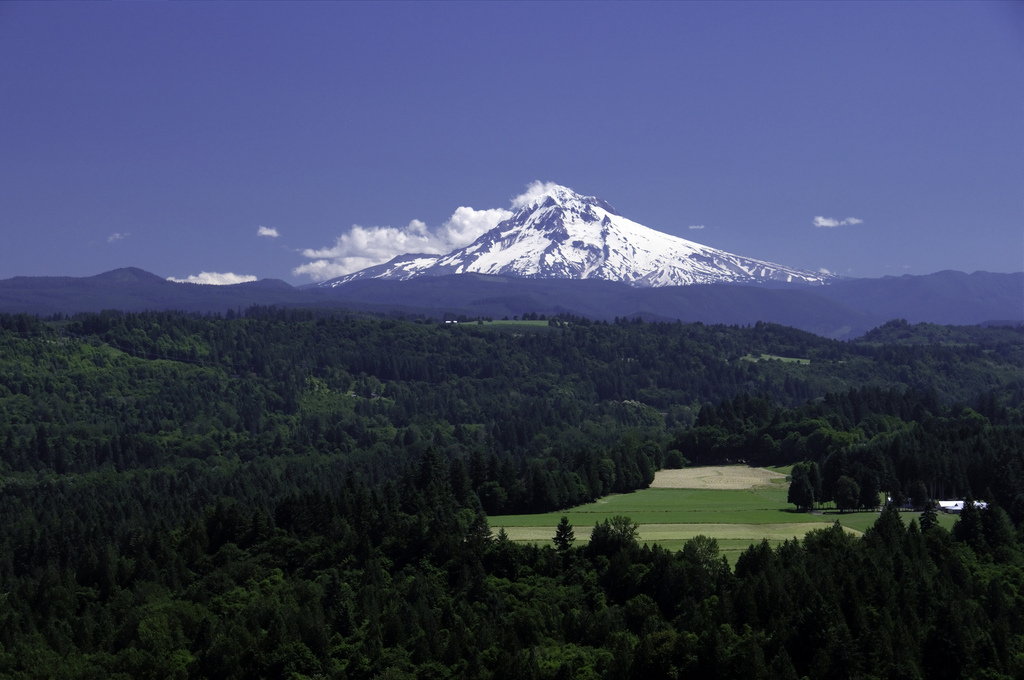 Oh I wish I could tell the the 2009&nbsp;Monica…