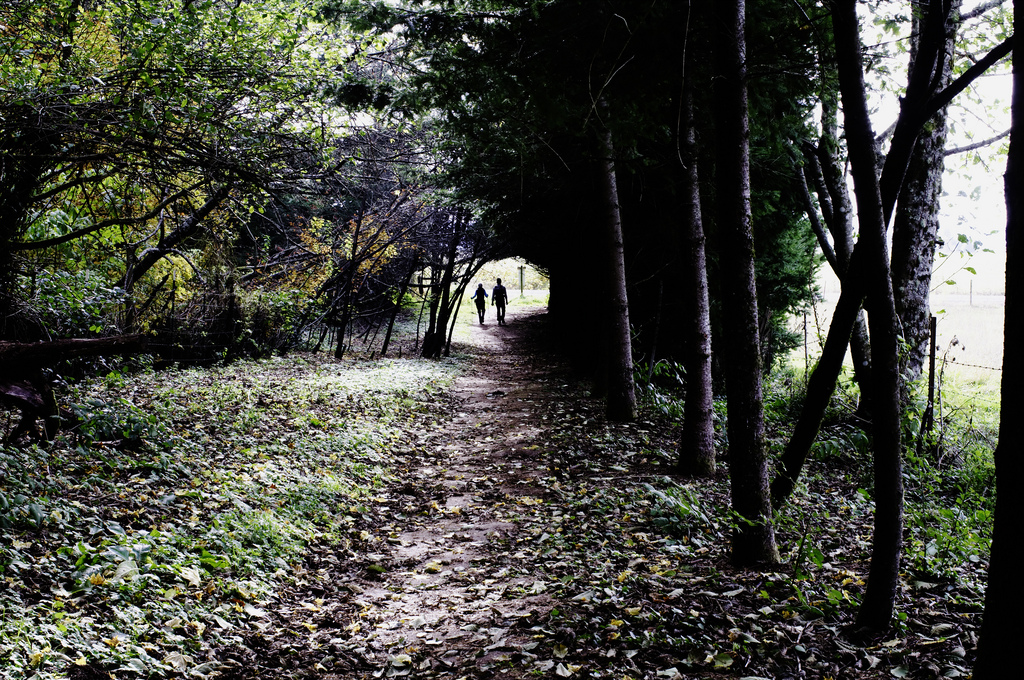 A writing exercise that turned into a story about my Grandpa