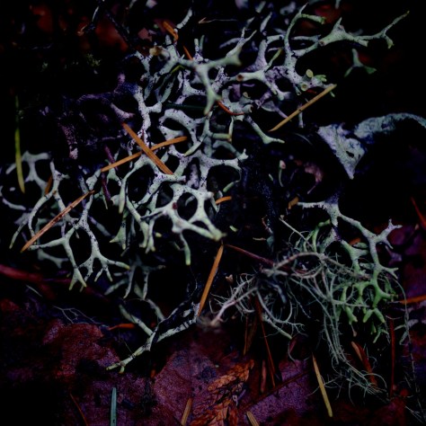 6342388620_e4d5b74a7e_b