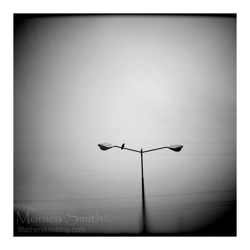 Crows are following me&nbsp;today