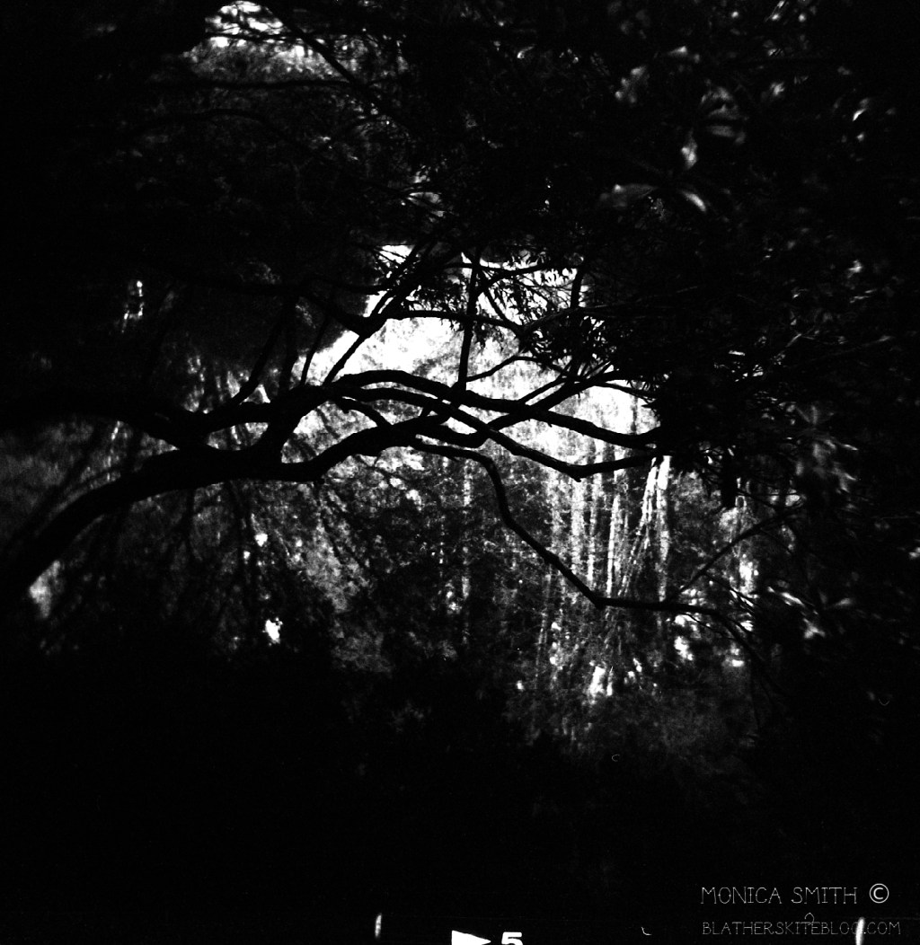 I am not sure what this&nbsp;is