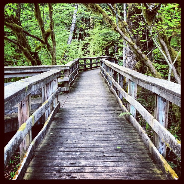 15db58729ca111e1a39b1231381b7ba1_7