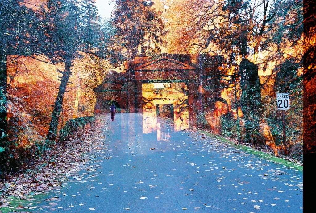 Rafael walks into a portal