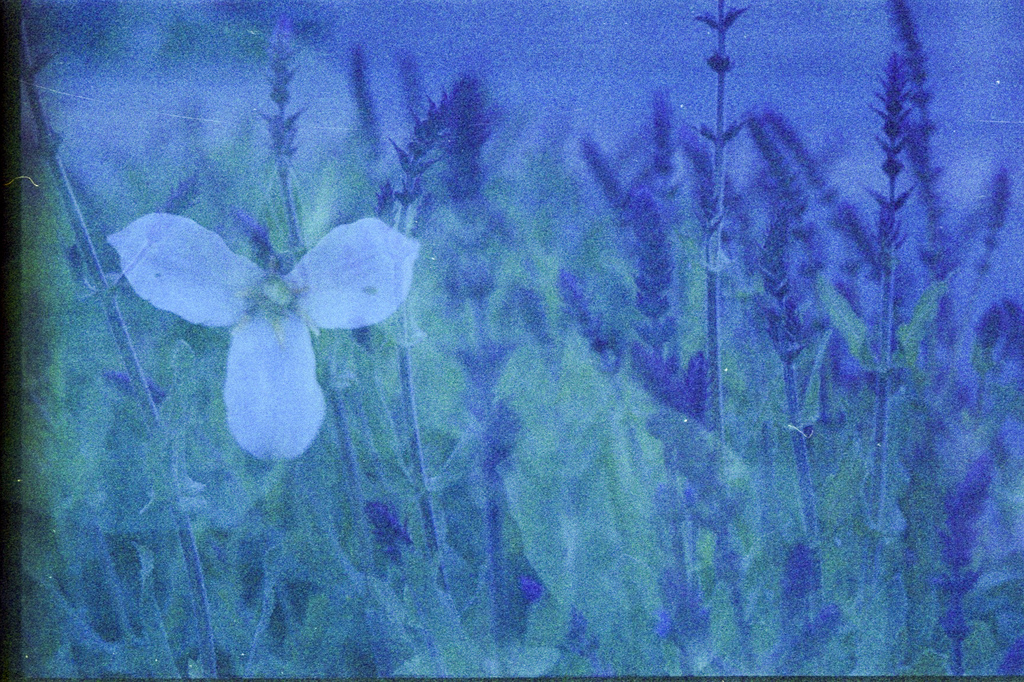 Oregon/Washington Film Swap