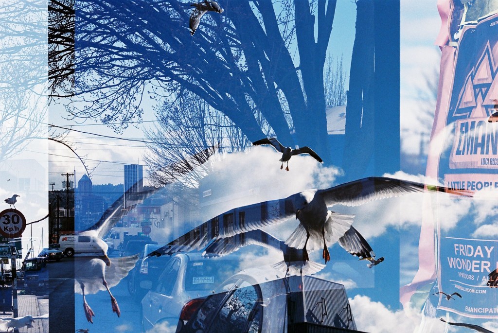 Brendan's exposure is the shot of the seagulls. Mine is the poster. 