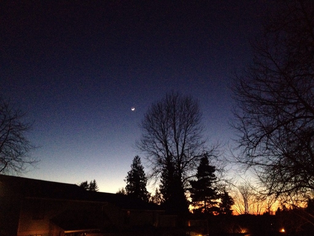 An imagined conversation with my fake grandchild in the&nbsp;future