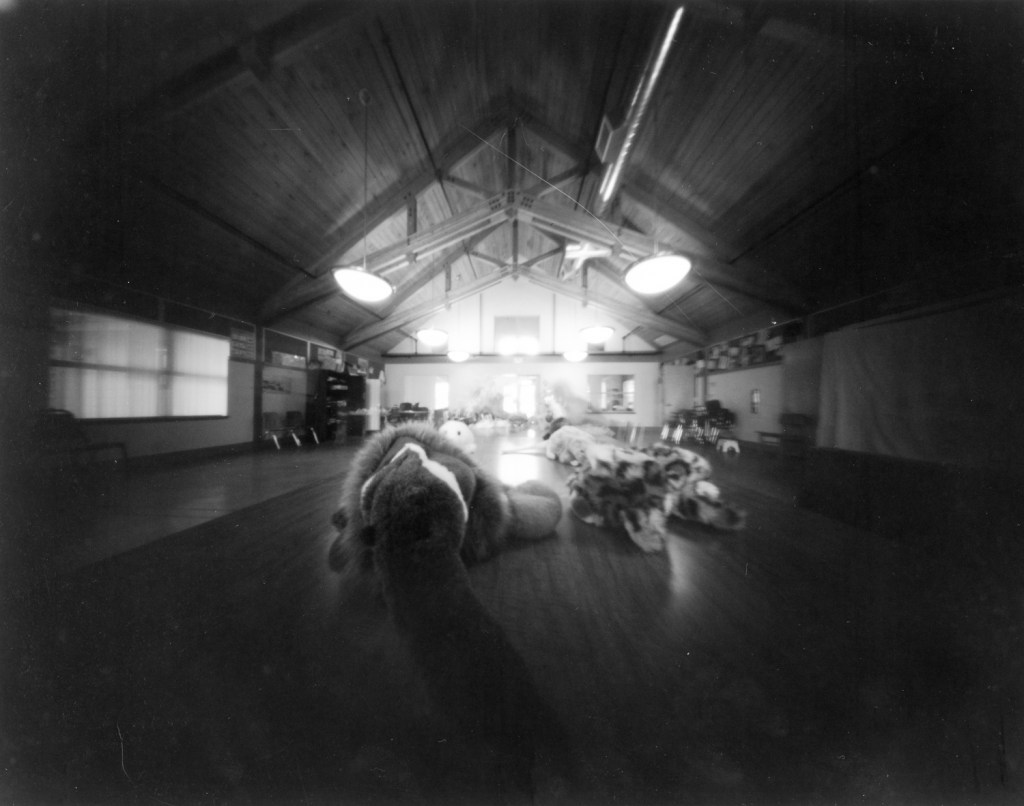 Roll 12 – my foray into large format pinhole photography