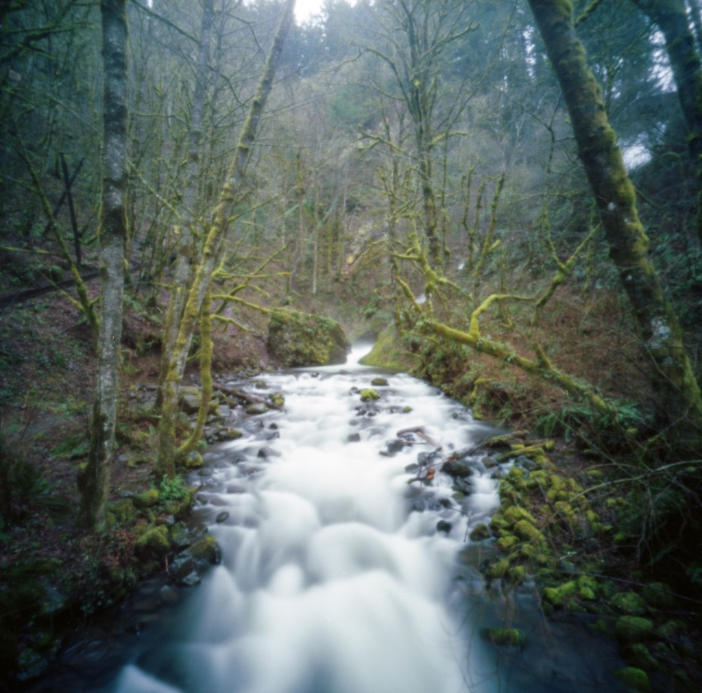 Roll 11 – anachronistic pinhole