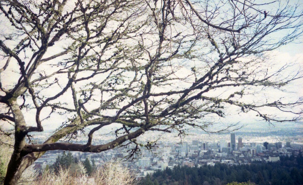 Roll 10 – Cheap Thrills in Portland&nbsp;Oregon