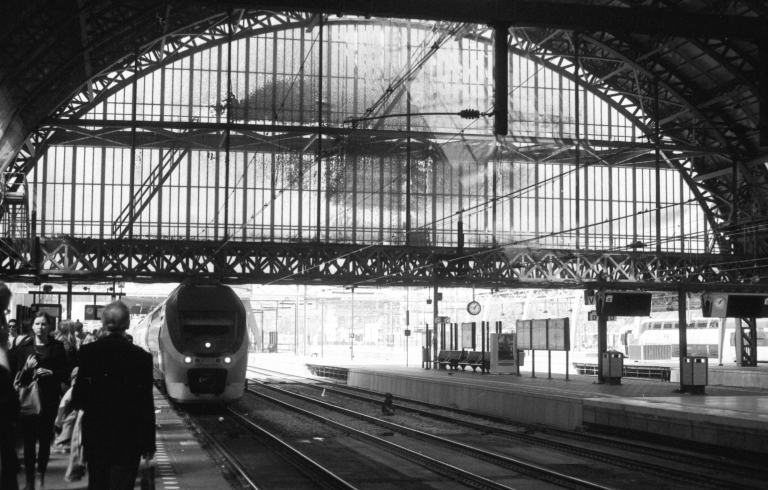 10365497_10202907736748775_1681197431359388456_o