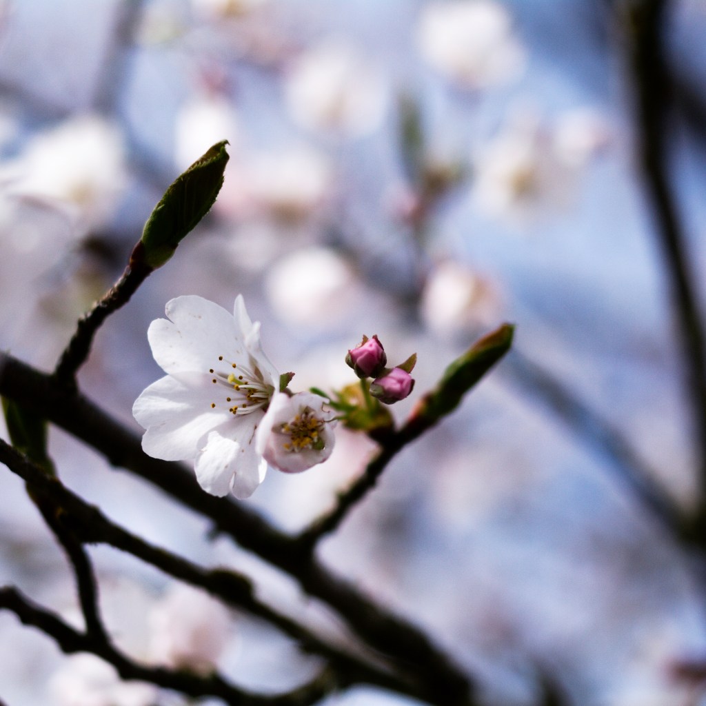 CraftyMoni’s cure for the November blues