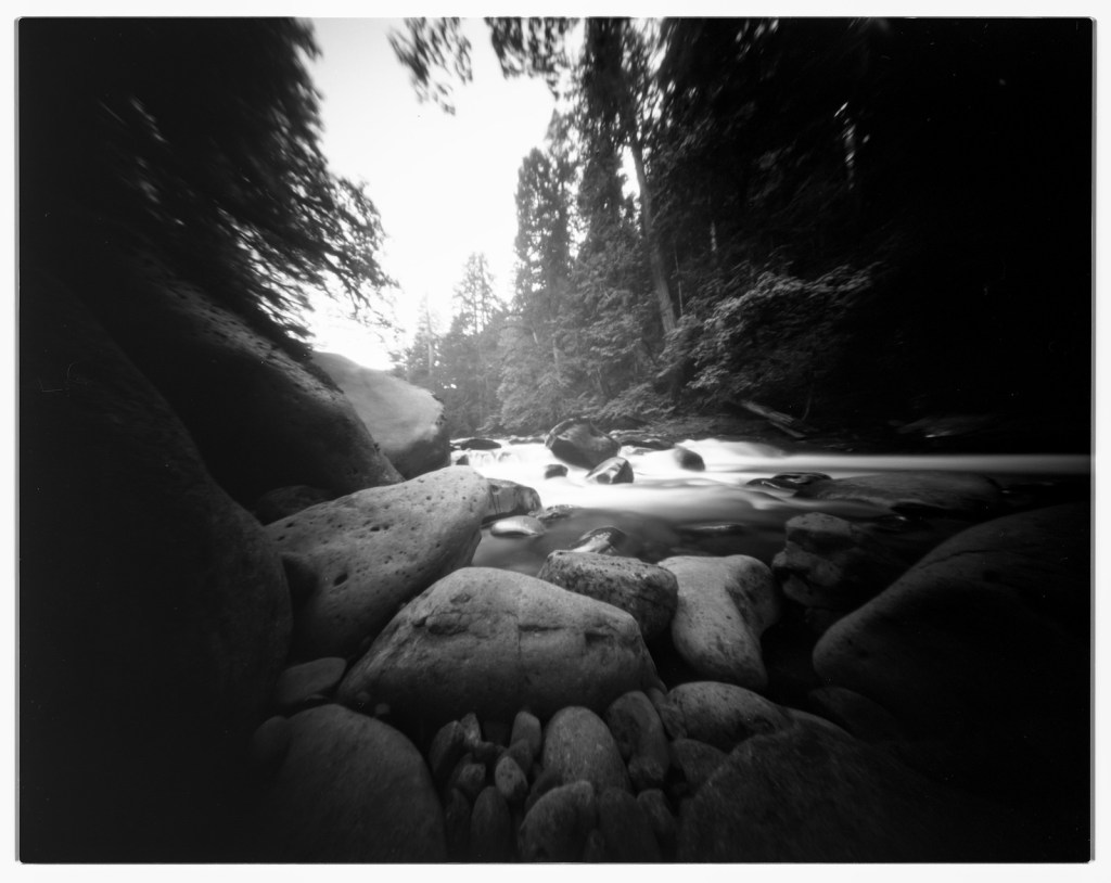 Roll 42: A sheet a&nbsp;day