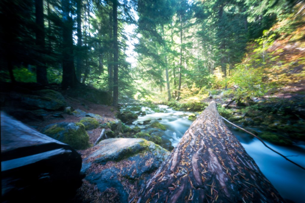 Roll 41- a hike to a&nbsp;waterfall