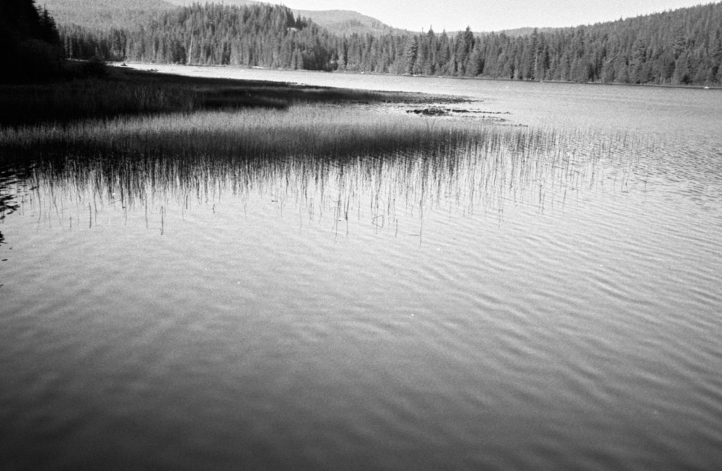 Thoughts on kindness