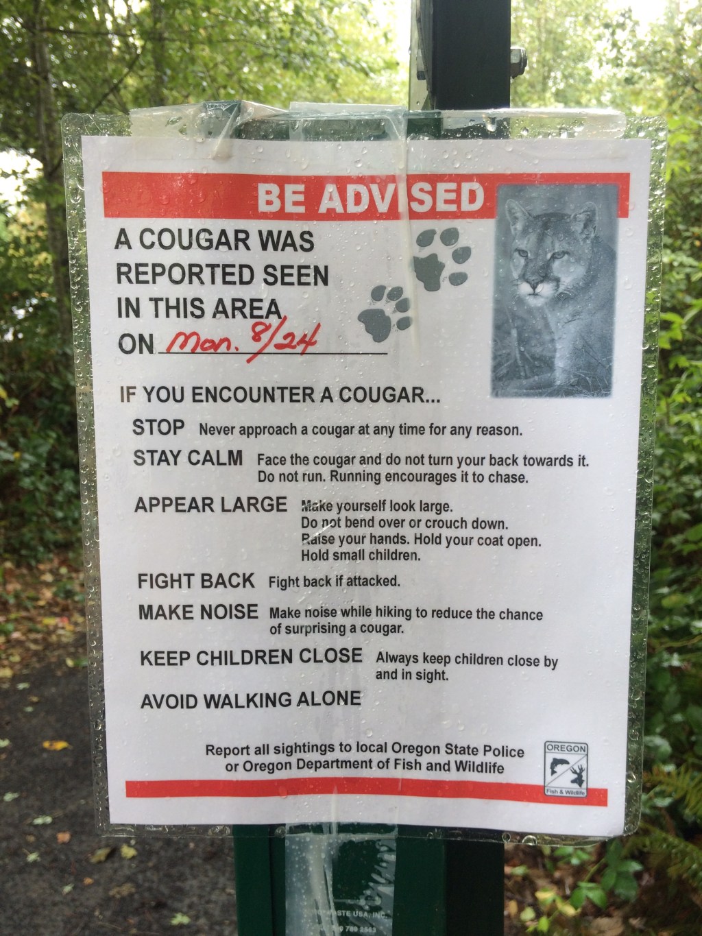 Fear and running in Sandy,&nbsp;Oregon