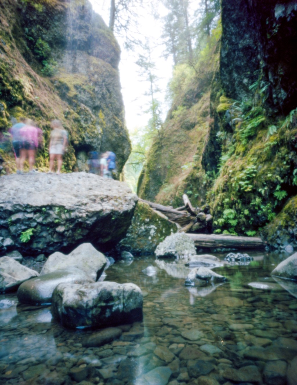 Oneonta Gorge – Columbia Gorge,&nbsp;Oregon
