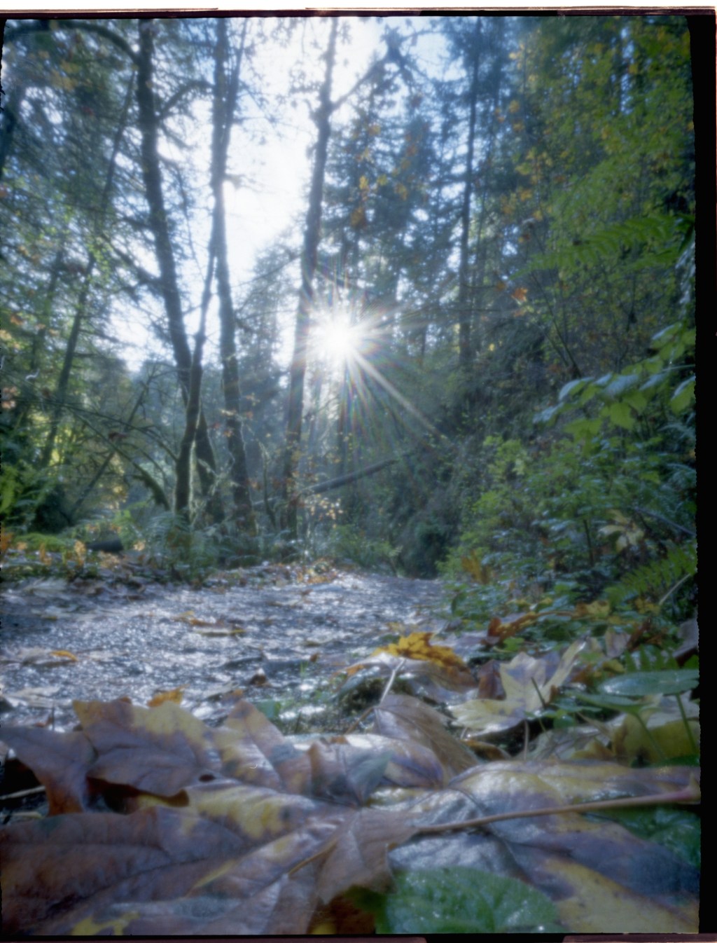 Serendipity in Silverton