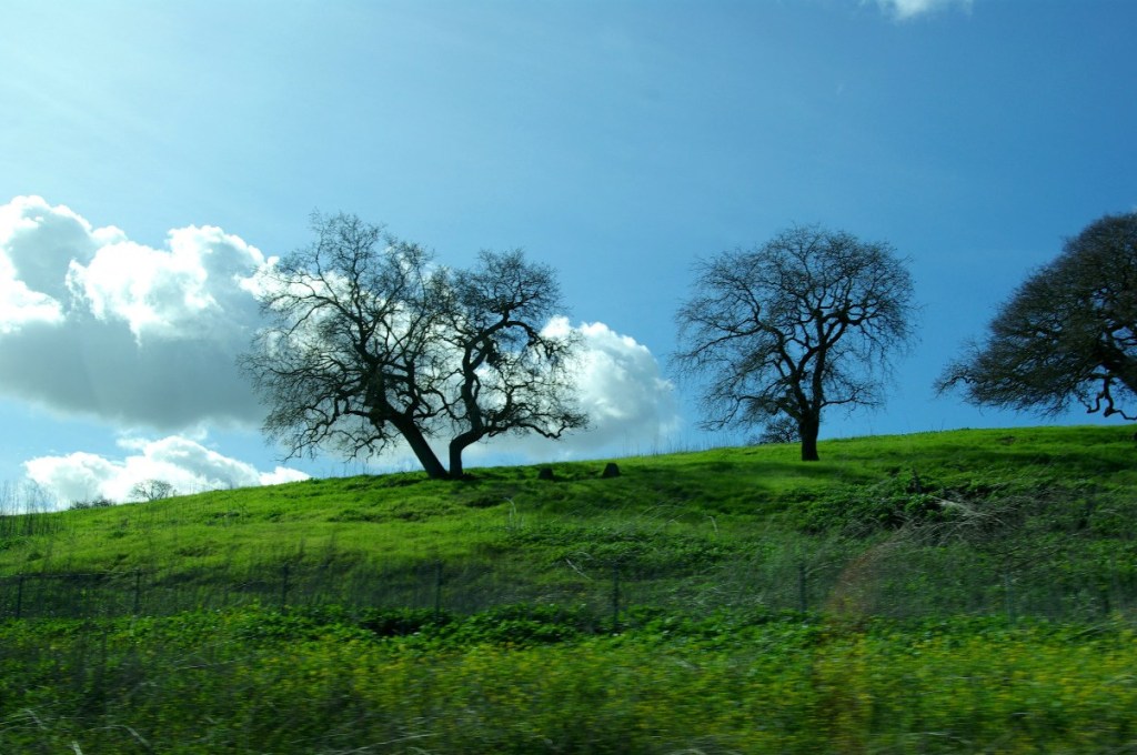 “Defeat may serve as well as victory  To shake the soul and let the glory&nbsp;out.”