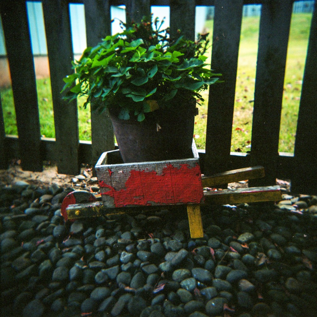 Holga GTLR Take 3 – Holga&nbsp;Week