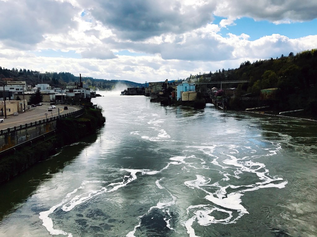 100 happy days, week&nbsp;2