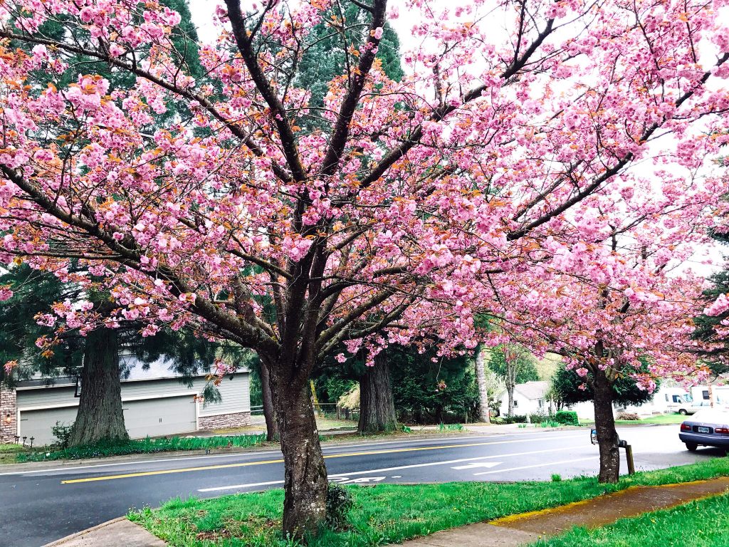 #100happydays week 5