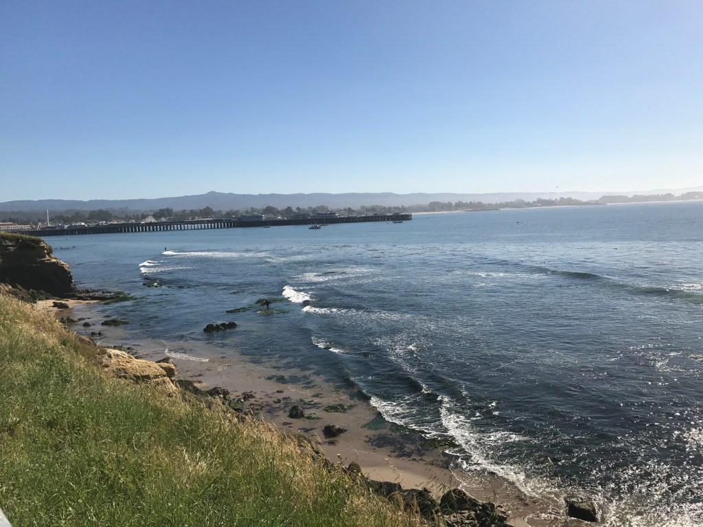 #100HappyDays weeks 6 and&nbsp;7