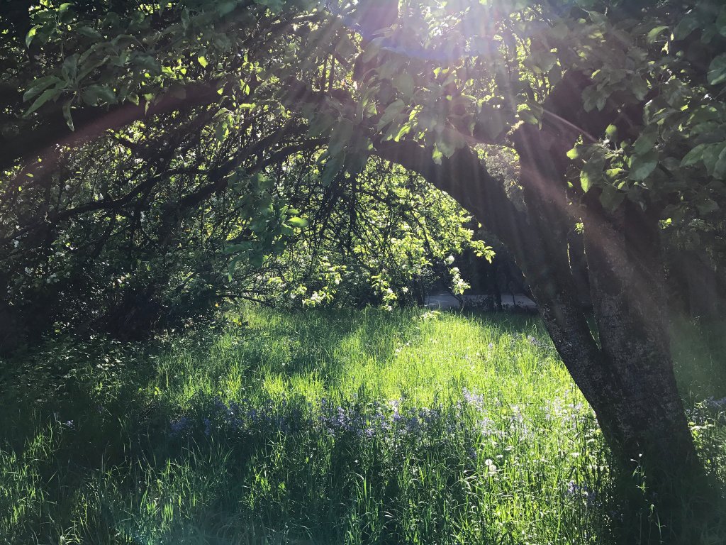 #100happydays week 8