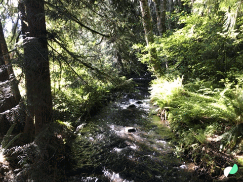 #100happydays week 9