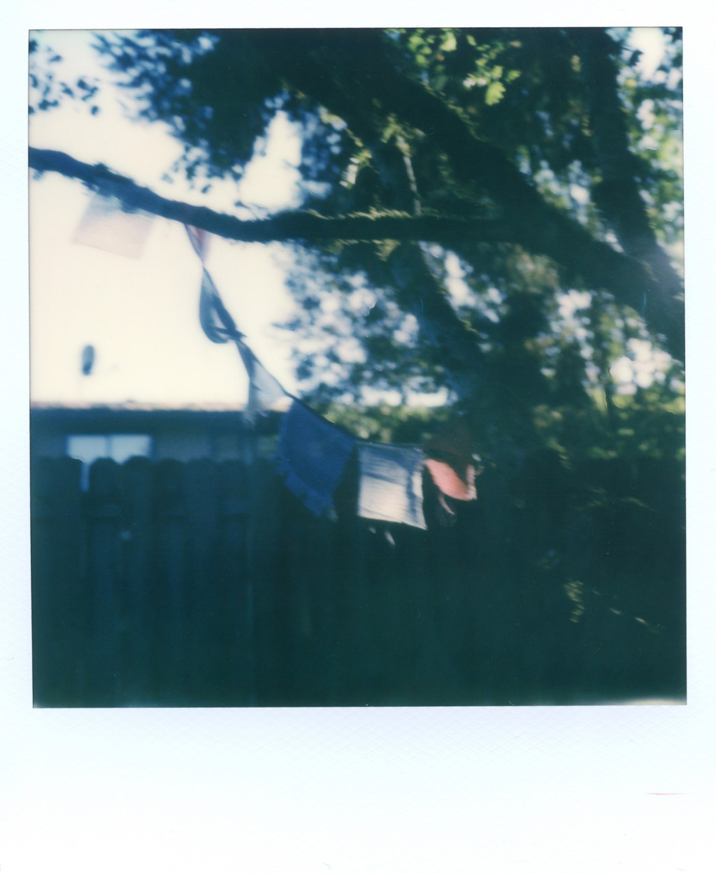 Polaroid Week, Part&nbsp;2