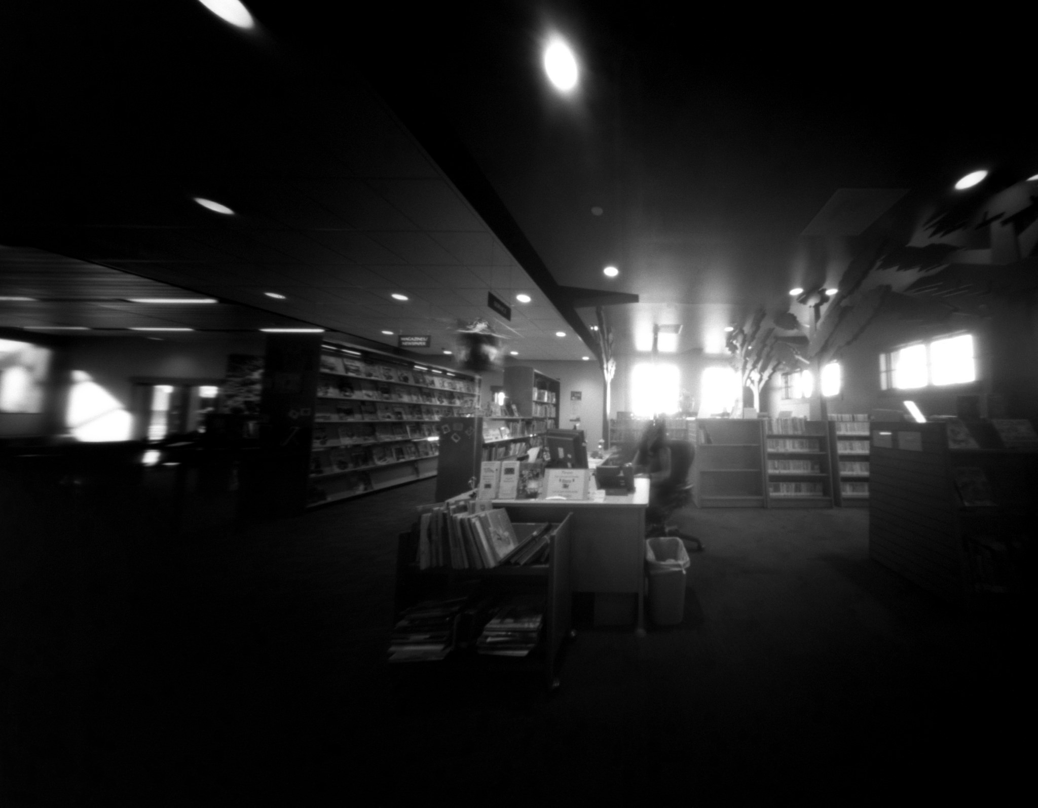 38044344576_24ae25580f_k