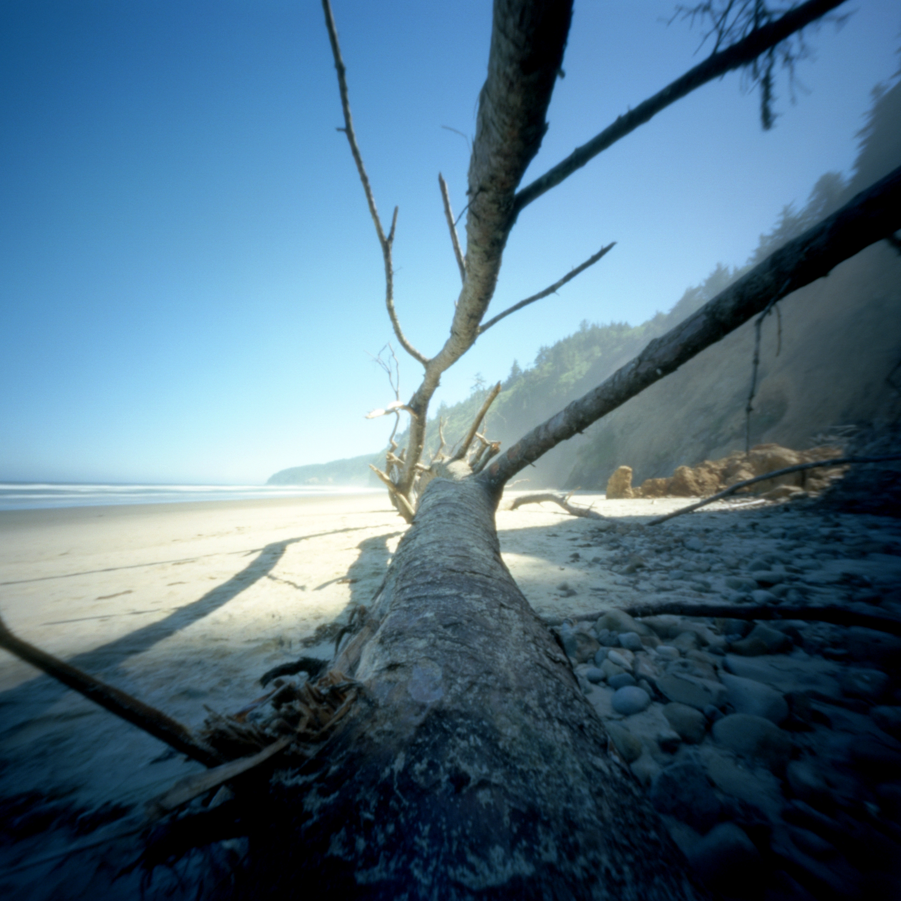 38157427565_2a6be7223d_o