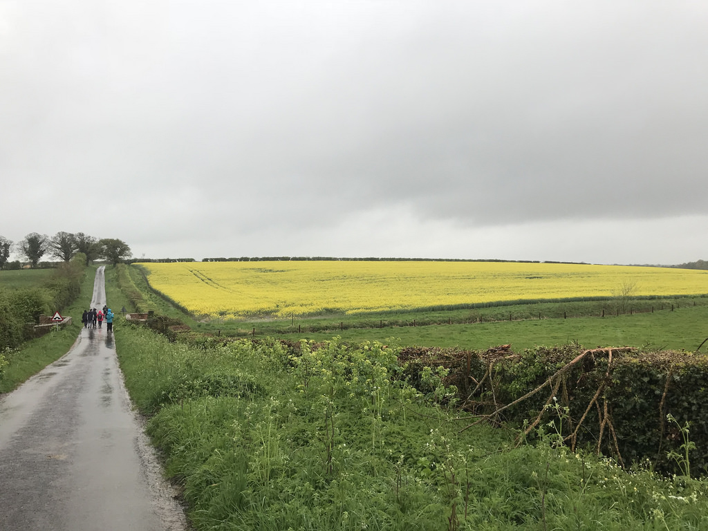 41025234964_f46b24b8db_b