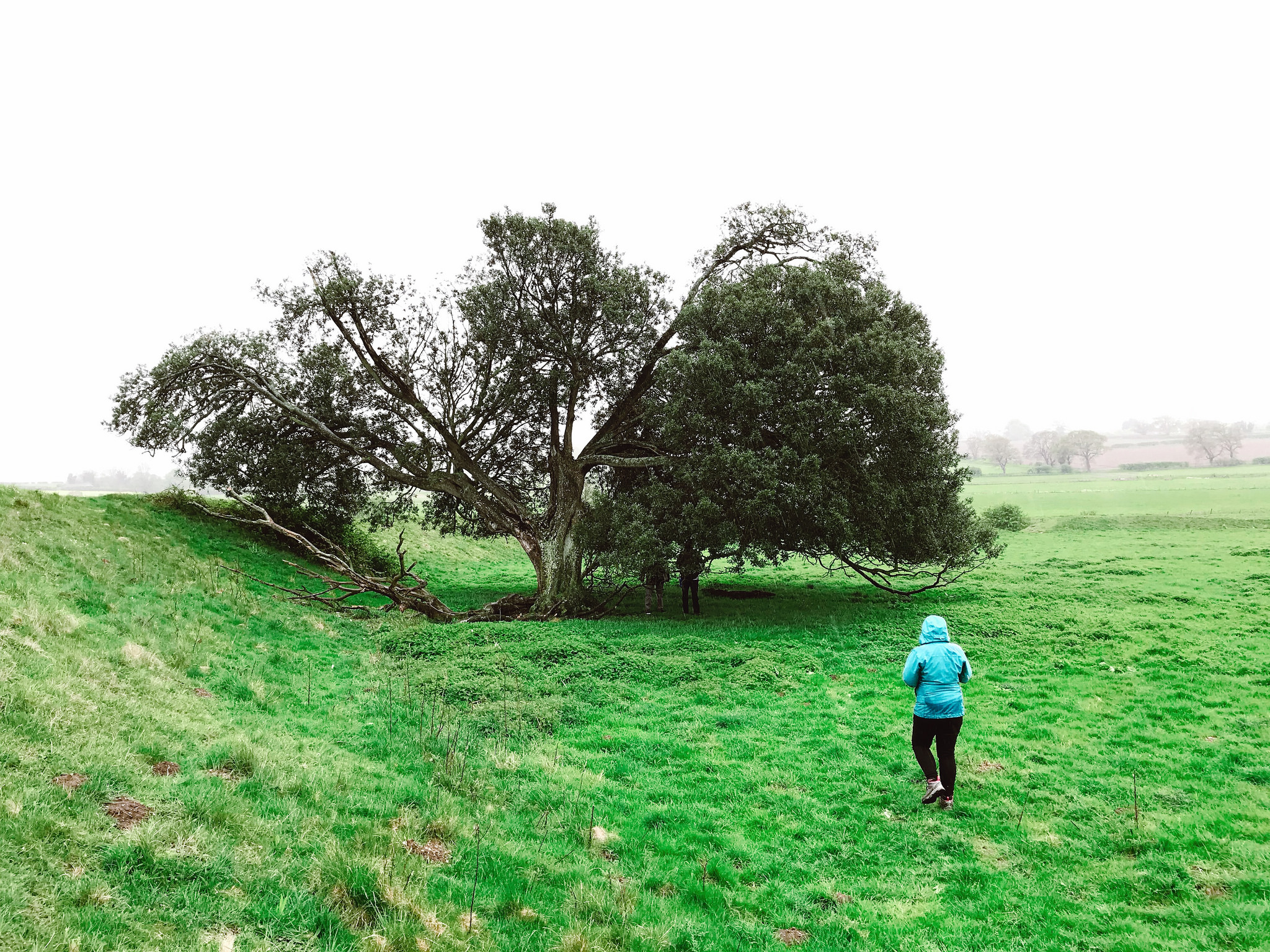 42025238341_bebe8cc6f6_k