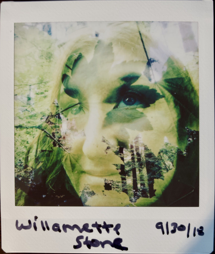 31167478328_9ce8db0dfe_b