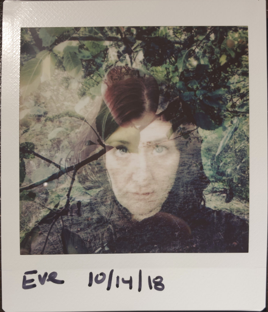 44604172744_5a8977ac64_b