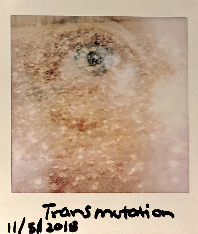 44835932115_a05c787db4_c