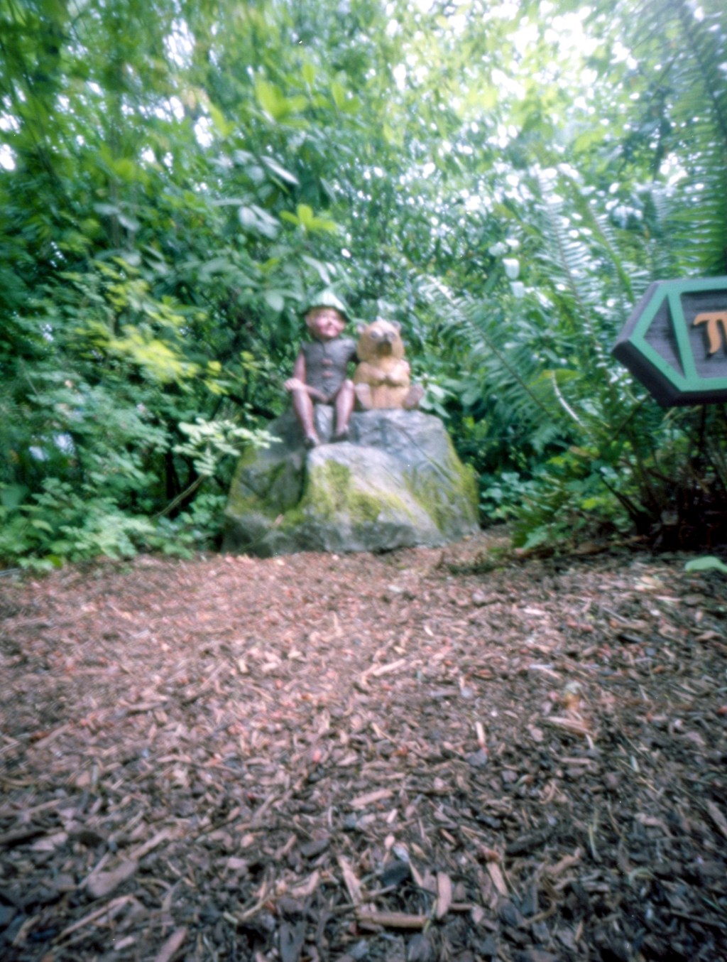 Enchanted Forest With A Pinhole Camera Part&nbsp;2