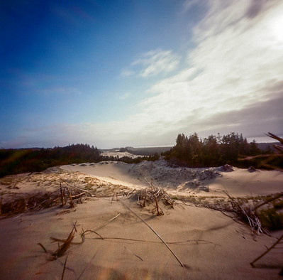 My Pinhole Day 2025 photo